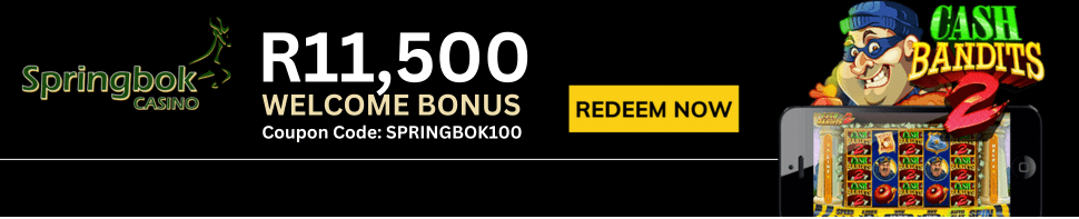 Springbok Casino South Africa